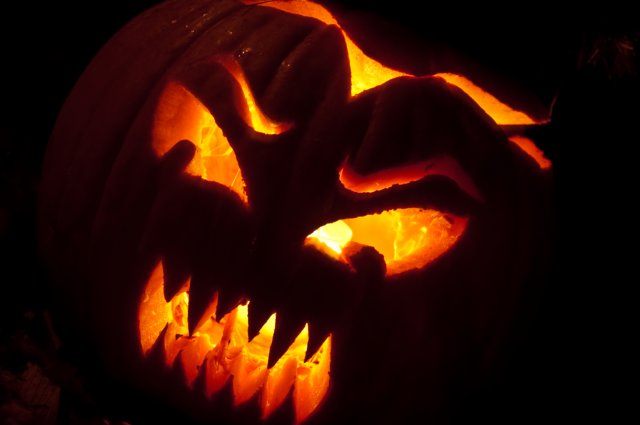 photo29.jpg