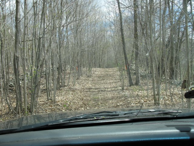 photo.jpg