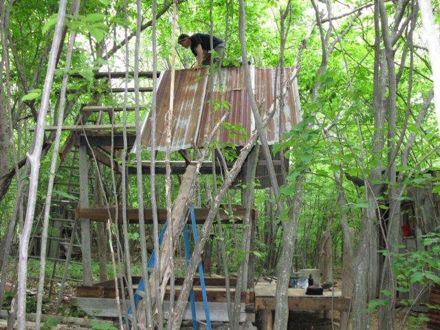 photo10.jpg