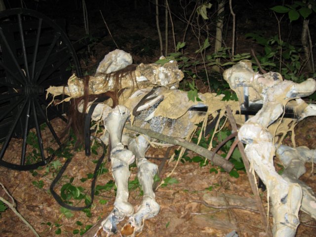 photo37.jpg