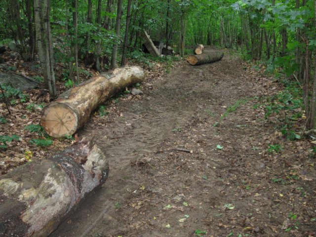 photo42.jpg