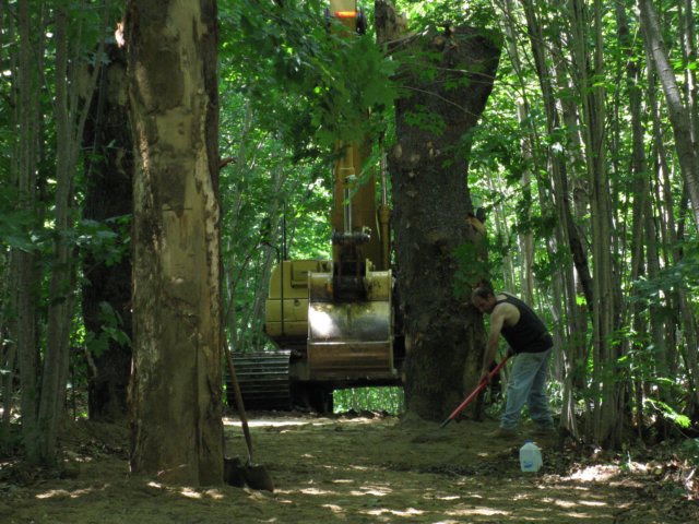 photo47.jpg