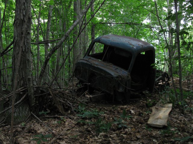photo55.jpg