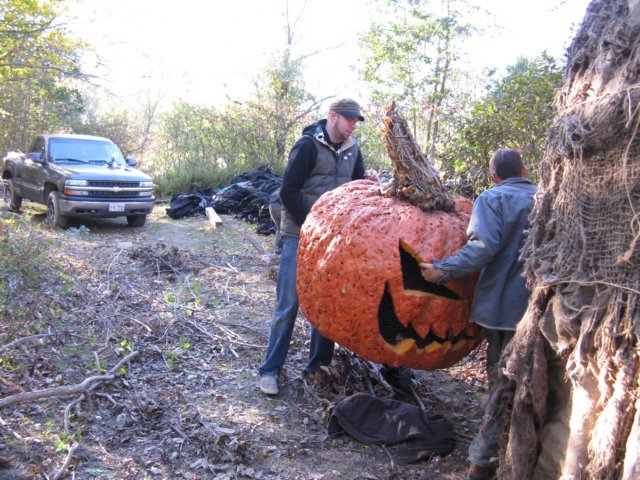 photo78.jpg