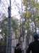photo81_small.jpg