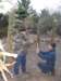 photo92_small.jpg
