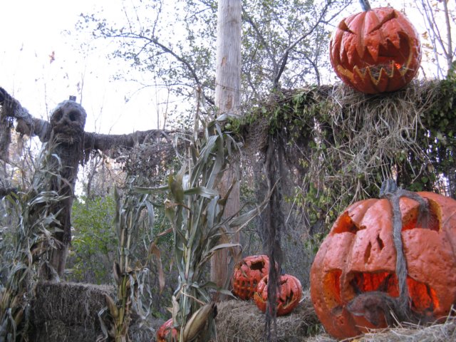 photo93.jpg