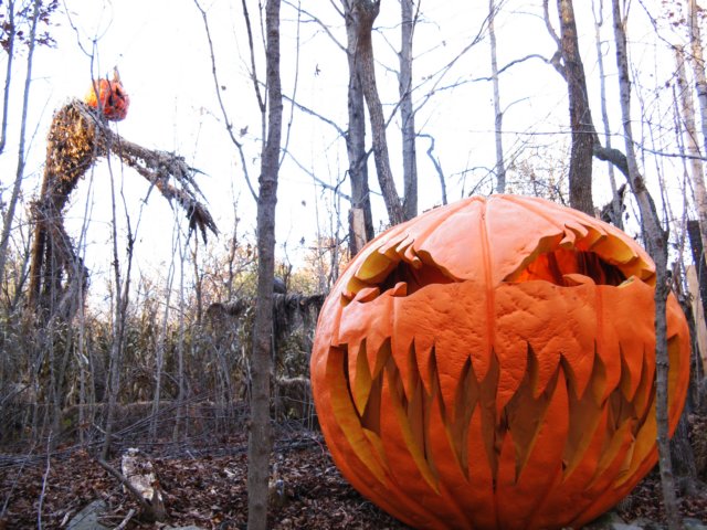 photo94.jpg