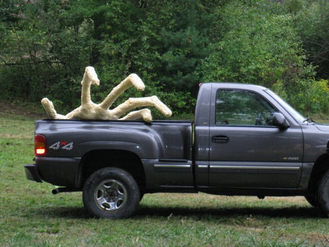 photo19.jpg