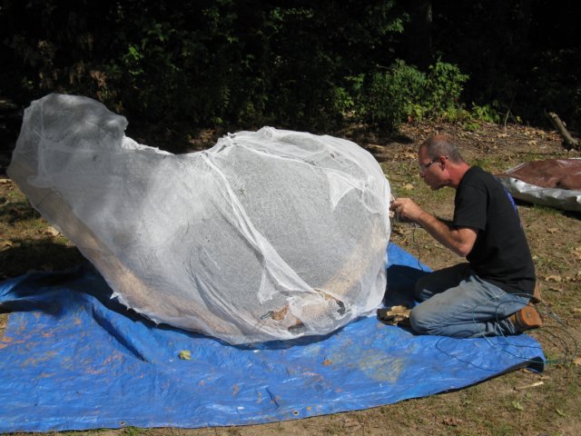 photo28.jpg