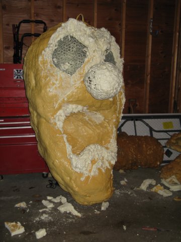 photo37.jpg