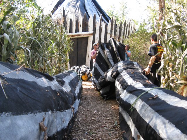 photo47.jpg