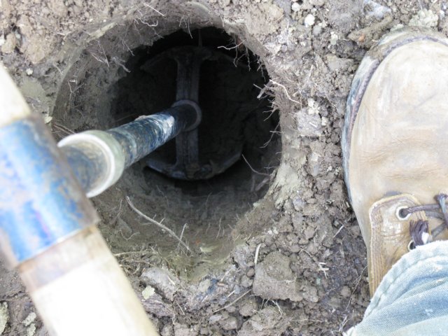 photo6.jpg