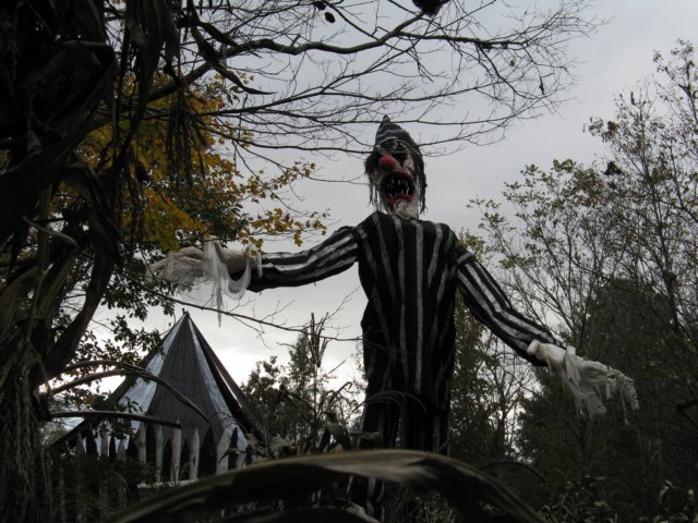 photo62.jpg