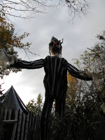 photo64.jpg