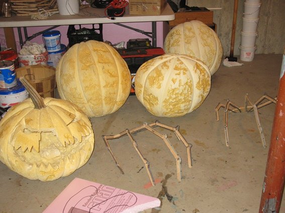 photo.jpg