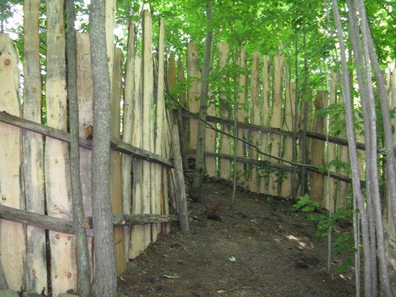photo19.jpg