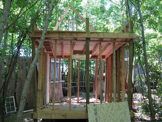 photo26.jpg