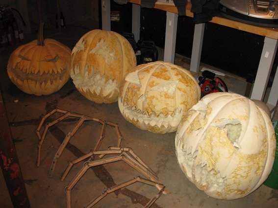 photo3.jpg