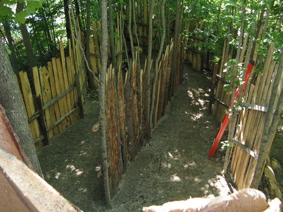 photo33.jpg