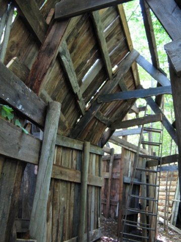 photo46.jpg