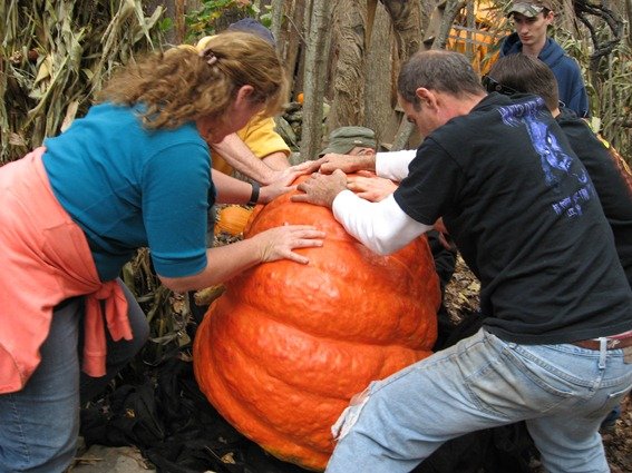 photo57.jpg