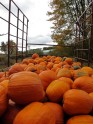 photo60_small.jpg