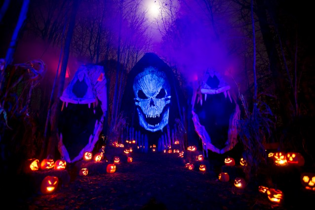 photo25.jpg
