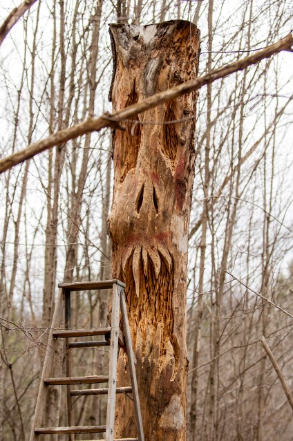 photo28.jpg