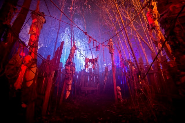 photo24.jpg